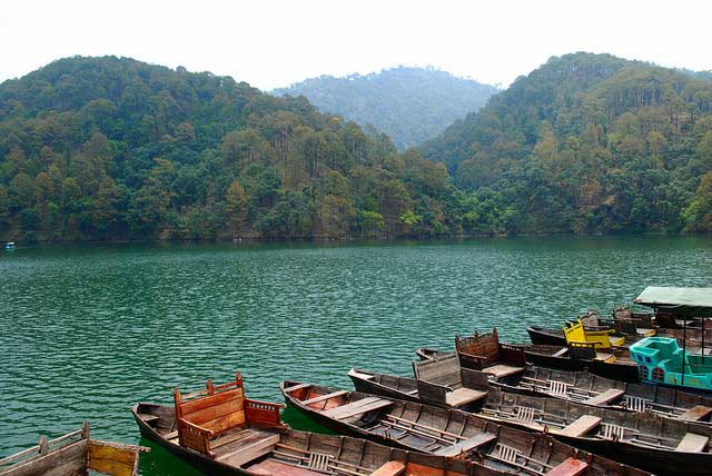 nainital & Dhikala