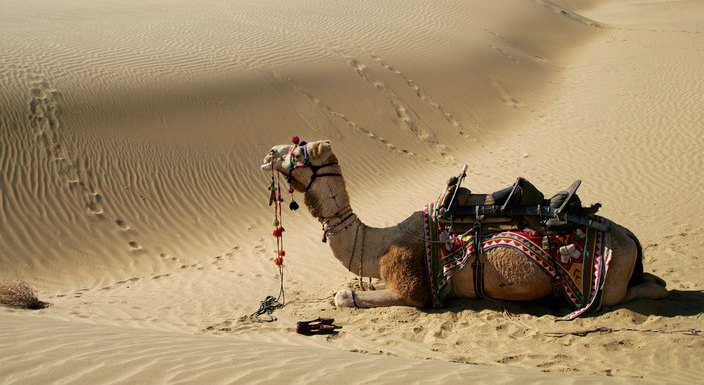 jaisalmer_travelindiavacations